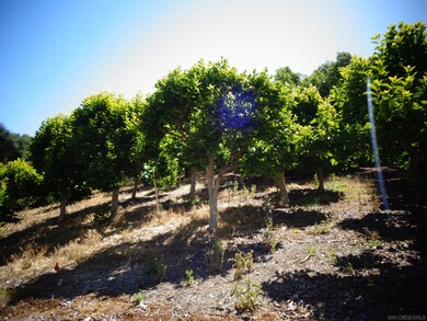 32829 Lilac unit 32829, Valley Center, CA 92082 - photo 5