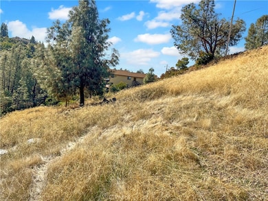 10203 El Capitan Way, Kelseyville, CA 95451 - photo 6