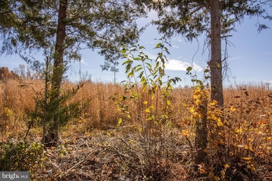 TBD Piney Grove Rd unit 21, Alton, VA 24520 - photo 6