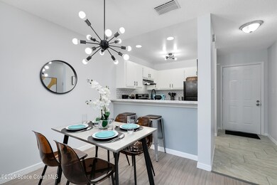 3165 South St unit 203, Titusville, FL 32780 - photo 6