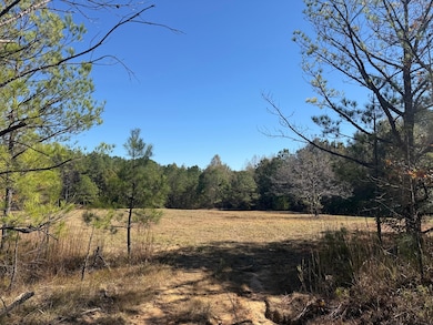 0 Backbone Church Rd unit 25581317, Gordo, AL 35466 - photo 3