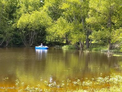 boat woodview road byhalia