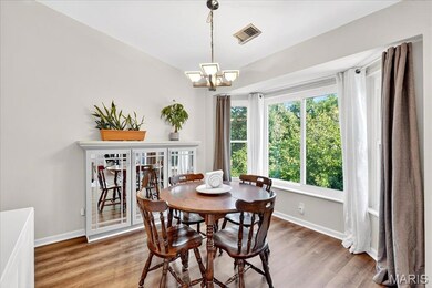 610 Pine Ridge Trails Ct unit 203, Ballwin, MO 63021 - photo 5