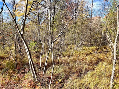 10 Acres W Fletcher Rd, Roscommon, MI 48653 - photo 6