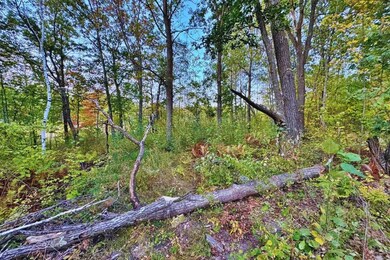 Harbor Dr, Garrison, MN 56450 - photo 6