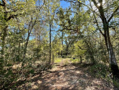 25399 Brushy Creek Dr, Hockley, TX 77447 - photo 3