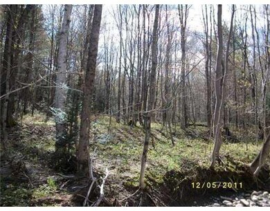 Land/Lot.