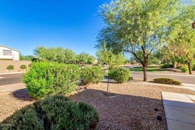 Front yard
