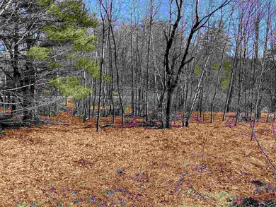 0 N Wakefield Rd, Wakefield, NH 03872 - photo 6
