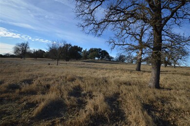 508 Dually Trail, Weatherford, TX 76087 - photo 3