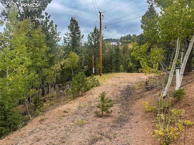 599 Dandy Jim Dr, Cripple Creek, CO 80813 - photo 2