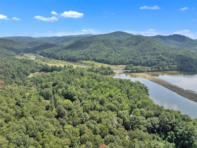 402 Sun Mountain Rd, Chatsworth, GA 30705 - photo 5