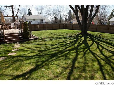 Backyard.