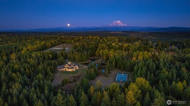 unlisted-address, Roy, WA 98580 - photo 4