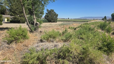 012-131-26 Mason Rd, Yerington, NV 89447 - photo 2