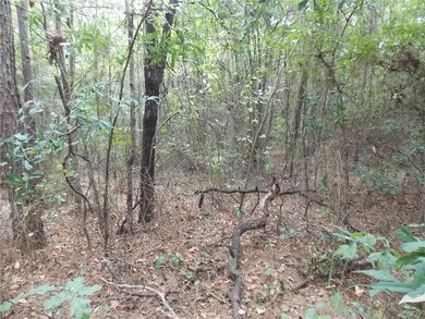 0 Kala Dr, Pineville, LA 71360 - photo 2