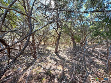 426 Clay Ridge, Canyon Lake, TX 78133 - photo 6