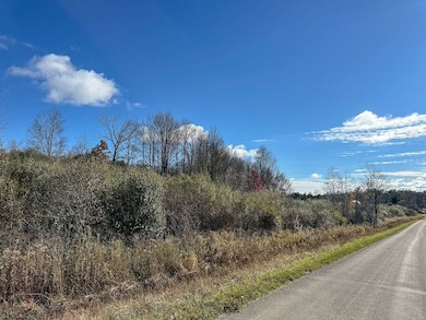 0 Williams Rd unit LotWP003, Rathbone, NY 14801 - photo 3