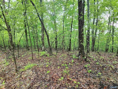 Lot 0 Huskey Mountain Rd, Laceys Spring, AL 35754 - photo 3