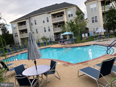 11315 Westbrook Mill Ln unit 202, Fairfax, VA 22030 - photo 6