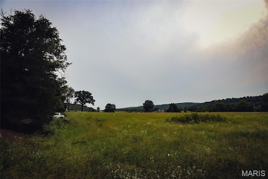 10102 Highway 67, Fredericktown, MO 63645 - photo 7