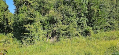 0000 US Highway 331, Montgomery, AL 36105 - photo 4