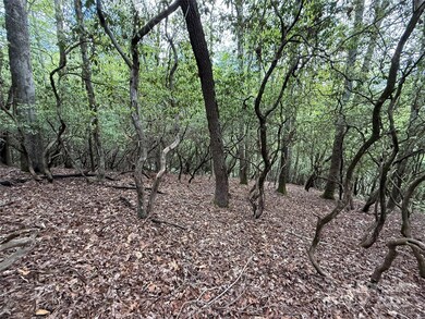 TBD Tellico Trail unit 42/22, Brevard, NC 28712 - photo 7