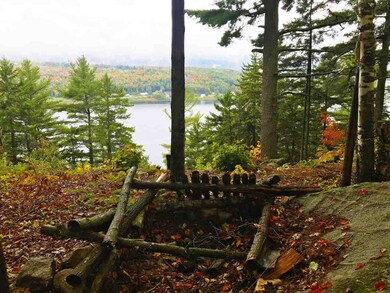 - Pageant Park Rd, Barton, VT 05822 - photo 7