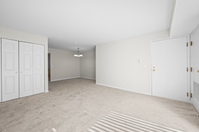 491 Leslie Ct unit 201, Des Plaines, IL 60016 - photo 6