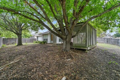 backyard and deck