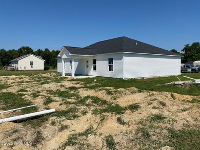 3043 Falcon Ct, Deep Run, NC 28525 - photo 4