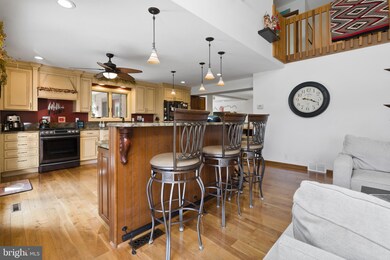 1166 Skelp Level Rd, Downingtown, PA 19335 - photo 6