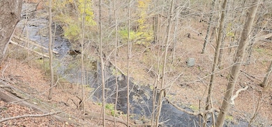 3636 Mill St, Dundee, NY 14837 - photo 7