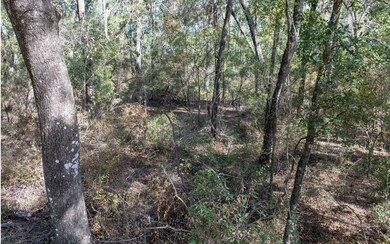 TBD Cr 349, Obrien, FL 32071 - photo 5