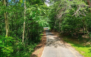 1.22A New Hope Rd, Ellijay, GA 30540 - photo 4