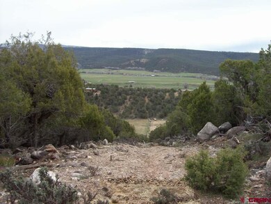 0 Cedar Mesa Rd unit 757710, Cedaredge, CO 81413 - photo 3