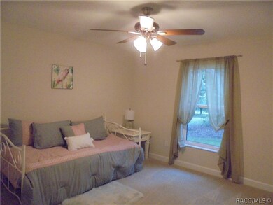 3349 N Tyrone Ave, Hernando, FL 34442 - photo 6