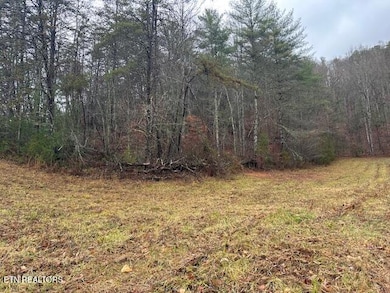 680 Bug Branch Rd, Del Rio, TN 37727 - photo 5