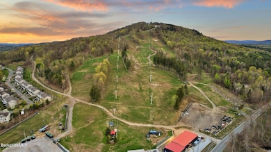 Bosquet Mountain