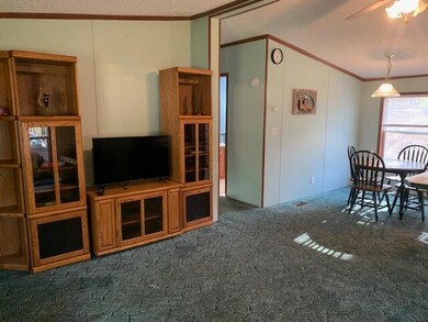 8701 N Ferris Ave, Bitely, MI 49309 - photo 7