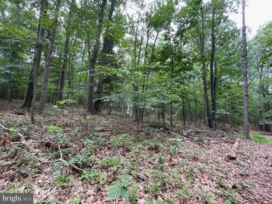 0 White Church Rd, Shippensburg, PA 17257 - photo 7