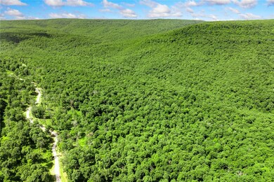 Lot 65 Restore Ridge, Harrison, AR 72601 - photo 6