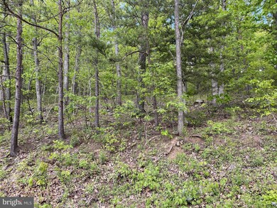 0 Cross Mountain Rd unit VAPA105960, Luray, VA 22835 - photo 3