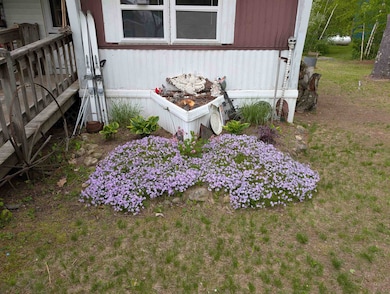 Beautiful Perennials!