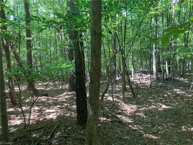 0 Nc Highway 134 N unit 1079012, Star, NC 27375 - photo 2