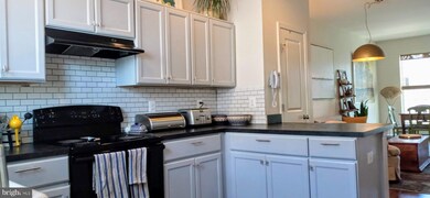 13202 Orsay St unit 2602, Clarksburg, MD 20871 - photo 5