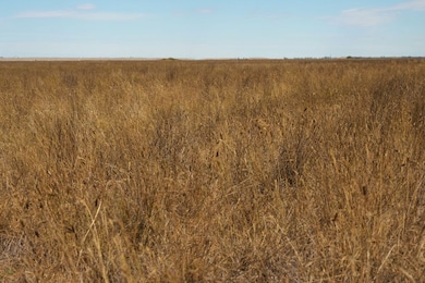 Tbd Cr 73 Lot unit WP001, Hereford, CO 80732 - photo 7