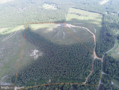 0 Dogwood Drive (Tract: Jr Bedford-Bowles_sims-3) unit VAFN2000524, Columbia, VA 23038 - photo 4