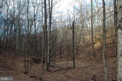 15 Ridges at Branch S, Romney, WV 26757 - photo 5