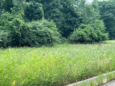 0000 Oak Ridge Hills unit 7, Marshall Township, MI 49068 - photo 3